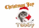 Tabby