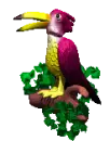 tropical bird