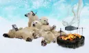 â˜†PoLaRâ˜†PaRtYâ˜†