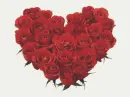 â¤HeARTáƒ¦oFâ€áƒ¦RoSeSâ¤