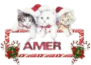 AMER
