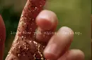 shine