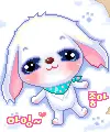 cute puppy