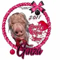 Ginza - Happy New Year Avatar