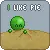 I like pie