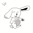 hello bunny!