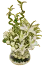 gÃ¼llÃ¢le