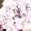 pandora hearts