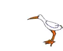 worm