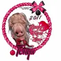 Tonya - Happy New Year Avatar