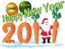 happy new year 2011 Jaya