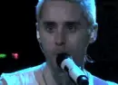 jared
