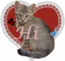 Hi