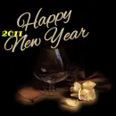 Happy New Year 2011