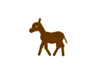 Crazy horse