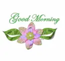 Good Morning
