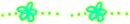 Turquoise and Yellow Flower Divider