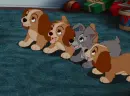 dogs