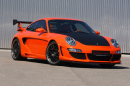 PORSCHE 911 AVALANCHE GTR 500 EVO