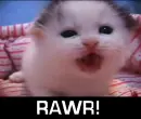RAWR!