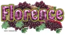 Large Grape Florence