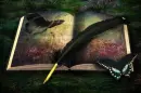 Literary Butterfly