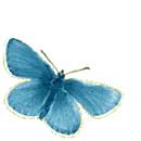 áƒ¦BLuEáƒ¦BuTTeRfLYáƒ¦