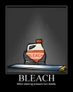 bleach, demotivational