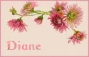 Pink Flowers Diane