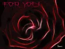 Red rose -- for You 