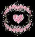 pink flowers