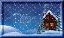 Winter Beauty - Tito