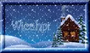 Winter Beauty - Wicahpi