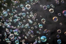 bubbles