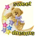 Teddy on moon