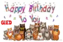 Happy Birthday Gied