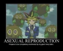 yu-gi-oh demotivational, abridged