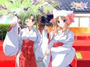 Kimono girls
