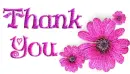 Thank you with daisy