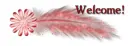 Welcome feather
