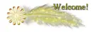 Welcome yellow feather