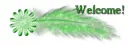 Welcome green feather