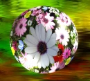 FLORAL GLASS BALL