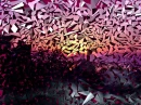 GLASS SHATTERED SUNSET