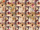 RAINBOW OF SEASHELLS