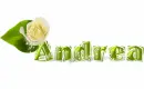 Andrea