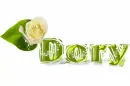 Dory