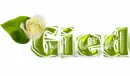 Gied