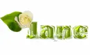 Jane