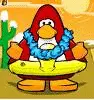 penguins rock